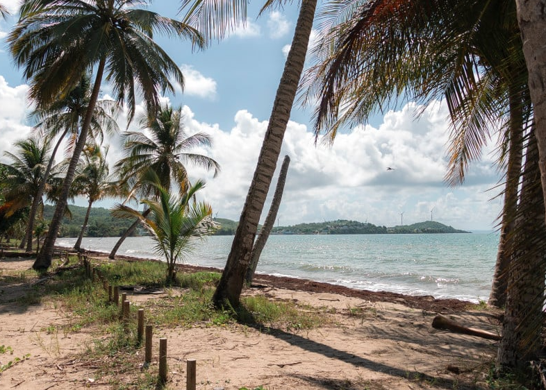 Tropical Beach Naguabo, , Puerto Rico